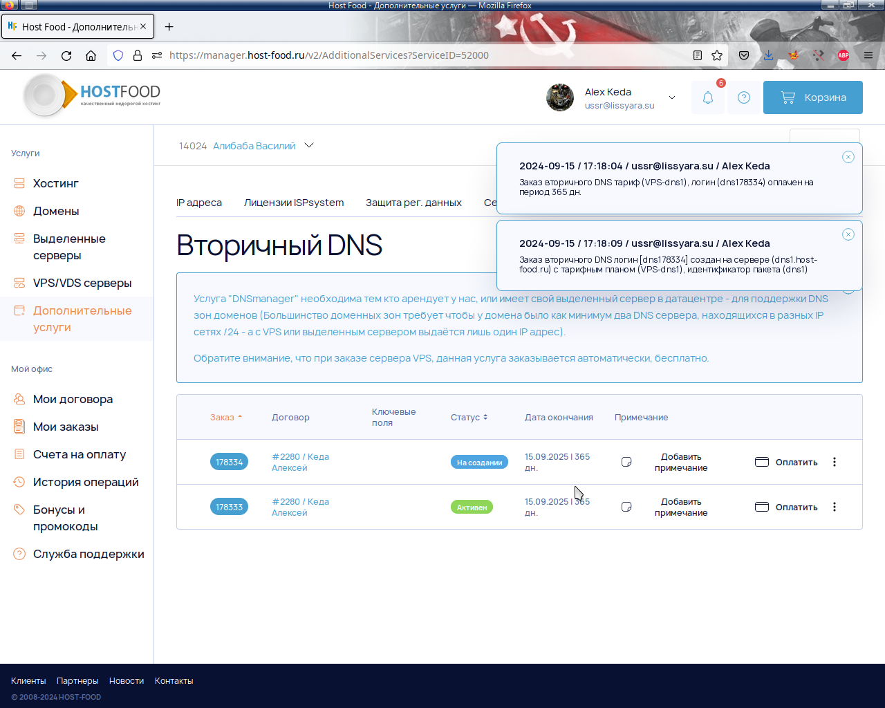 Второй заказ на панель управления записями ДНС / DNS ещё не  активен