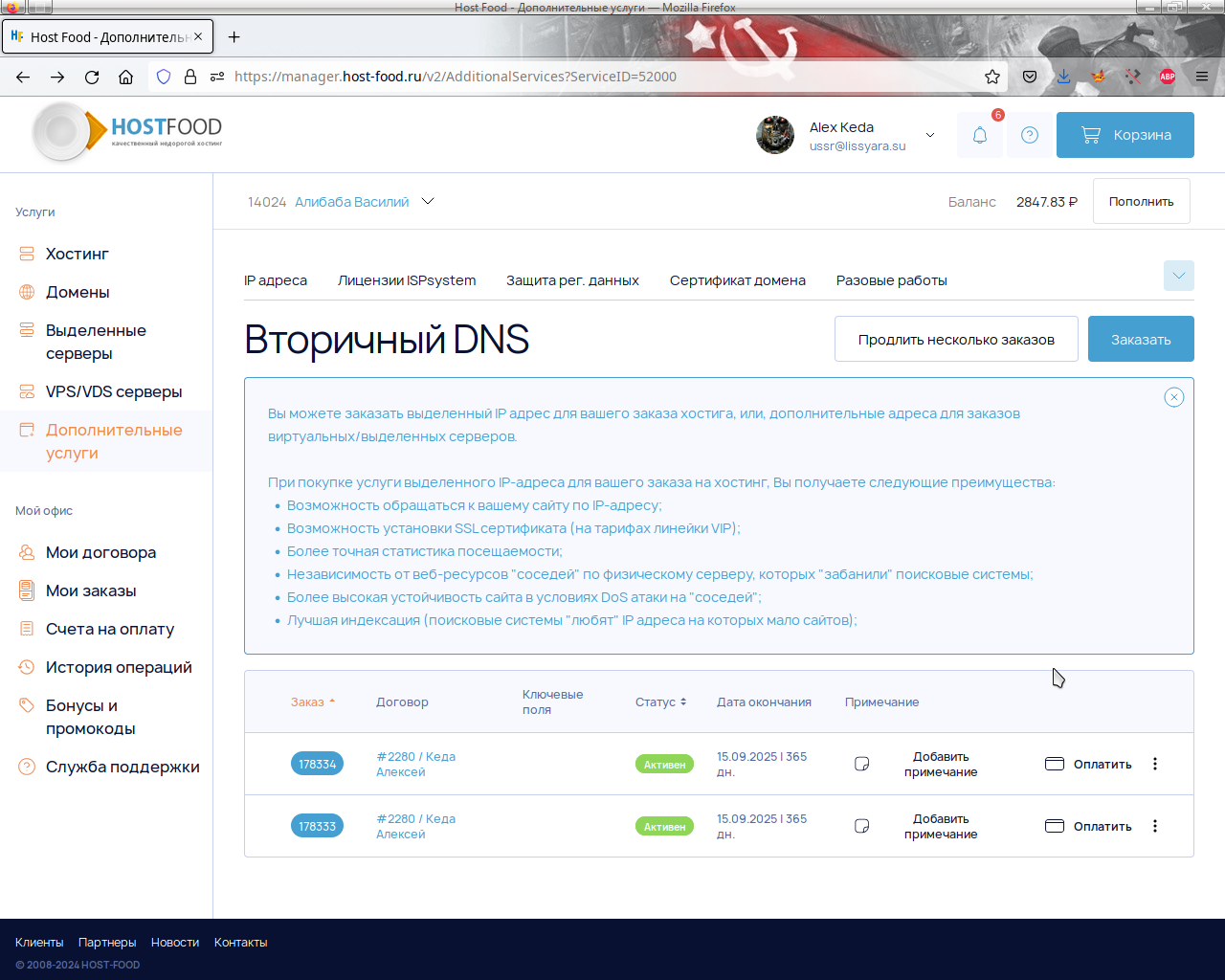 Оба заказа на панель управления записями в доменной ДНС / DNS зоне активны