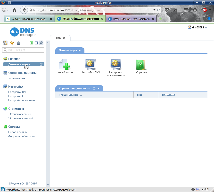 раздел управления доменными именами, панели управления записями ДНС / DNS