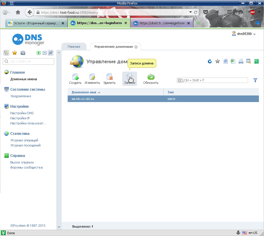 просматриваем записи ДНС скачанные с первичного ДНС / DNS сервера
